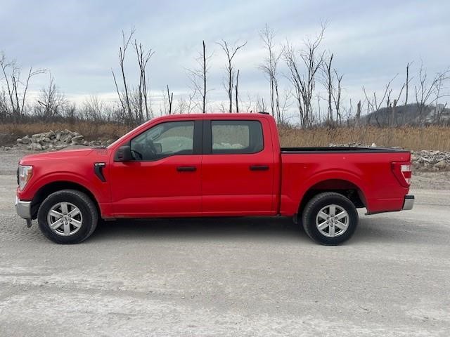 Photo of a 2022 Ford F150 XL