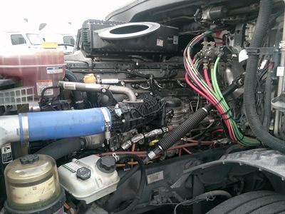 2022 Freightliner CASCADIA 126