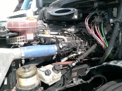 2022 Freightliner CASCADIA 126