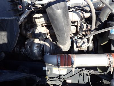 2022 Freightliner CASCADIA 126