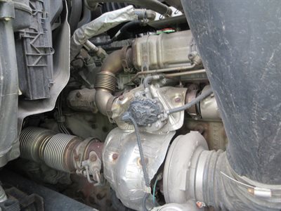 2023 Freightliner CASCADIA 126