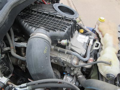 2023 Freightliner Cascadia 126