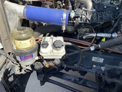2022 Freightliner CASCADIA 126
