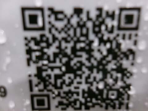 2025 MEC Micro 19-XD-21