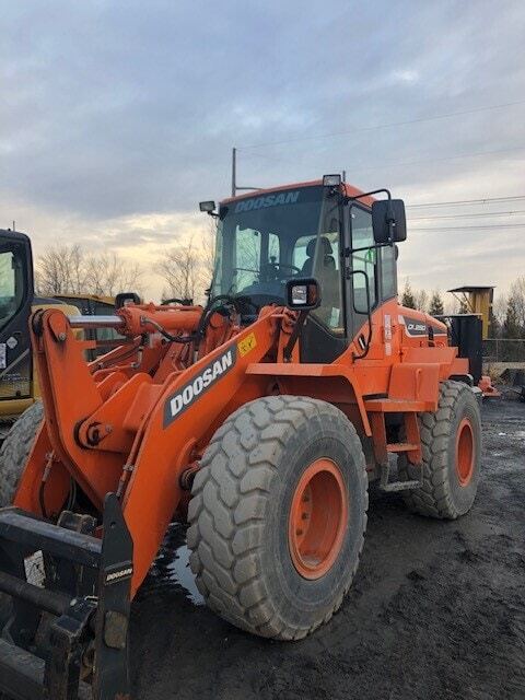 2015 Doosan DL250-5