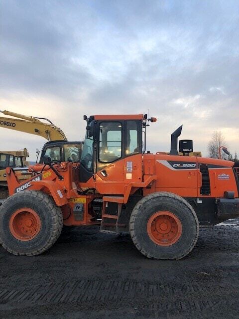 2015 Doosan DL250-5