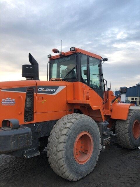 2015 Doosan DL250-5