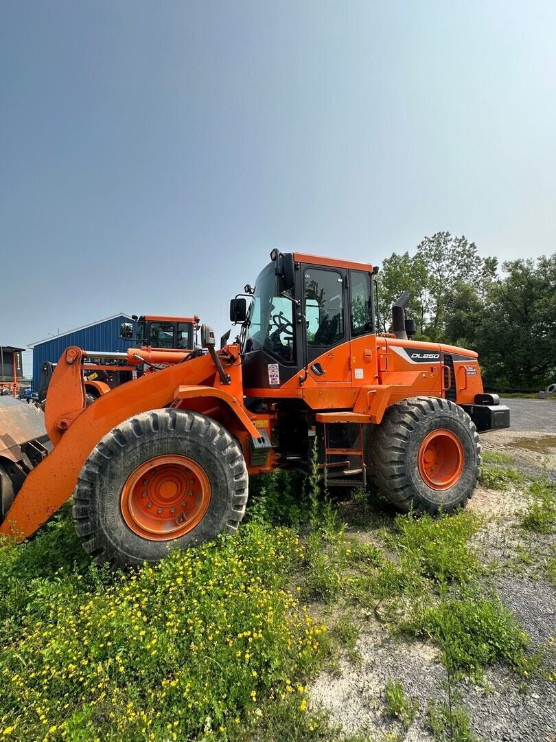 2017 Doosan DL250-5