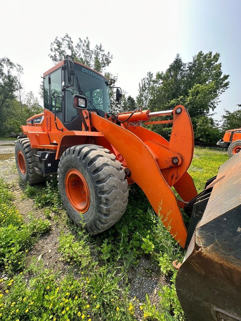 2017 Doosan DL250-5