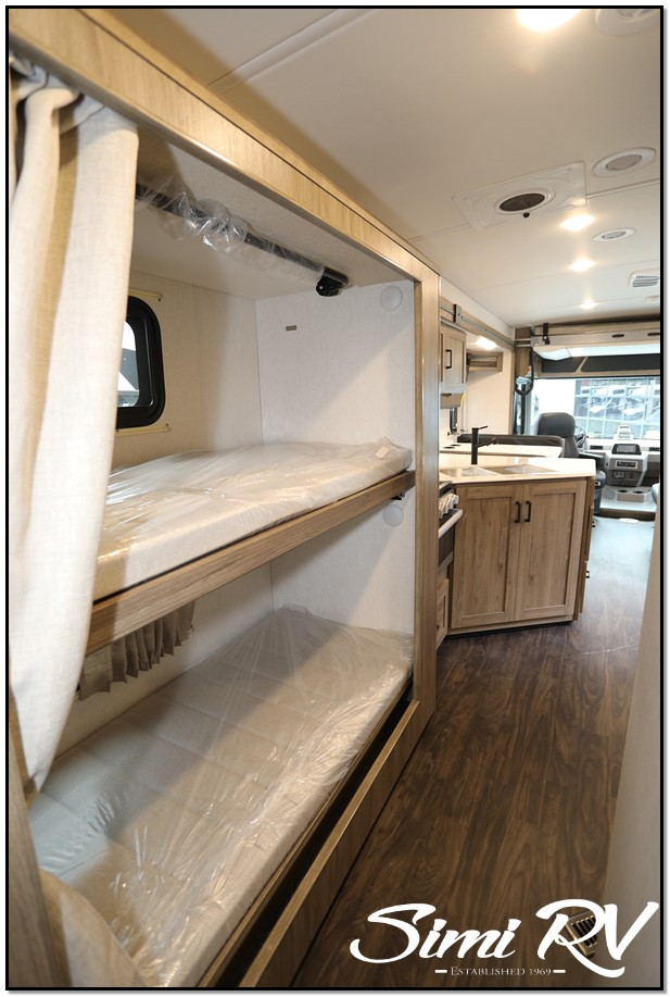 Sunstar/31B/2025 image-29